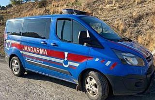 Genç kız hayvan damında ölü bulundu