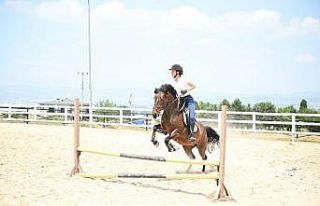 Gençler ata binerek stres attı