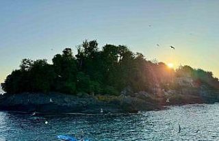 Giresun Adası’nda turizm sezonu başladı