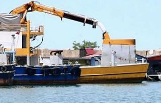 Giresun’da denize atlayan kurbanlık, balıkçı...