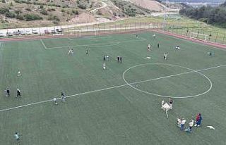 Gökyüzü uçurtmalarla şenlendi: Boyabat’ta renkli...