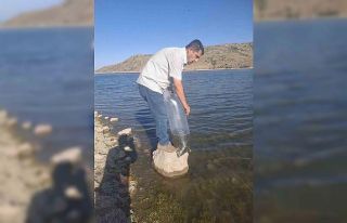 Göletlere 85 bin yavru sazan balığı bırakıldı