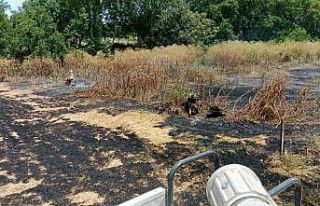 Gönen’de aynı gün iki ayrı yangın: İtfaiye...