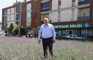 Gönen’de biyogaz tesisine "ÇED olumlu"...