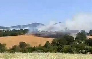 Gönen’de buğday tarlasında yangın çıktı