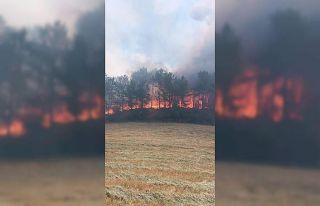 Göynük’te orman yangını başladı: Havadan ve...