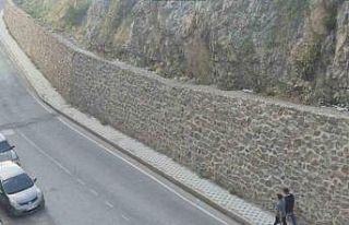 Gümüşhane dağlarının süsü yaban keçileri...