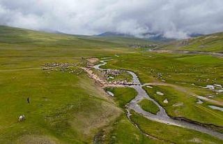 Gümüşhane yaylalarında görsel şölen