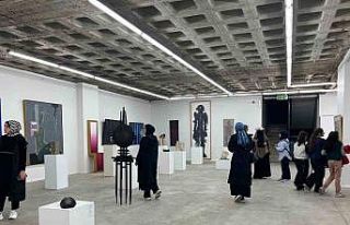 Güzel sanatlar müzesi "Özel müze" statüsü...