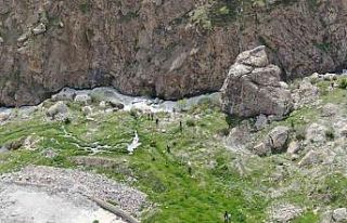 Hakkari Emniyeti, Feleknaz Keskin için arama çalışmalarını...