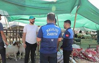 Haliliye Belediyesi 662 personeliyle sahada