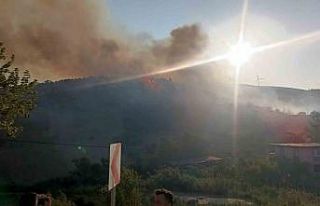 Hatay’da orman yangını