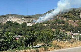 Hatay’da ormanlık alanda çıkan yangın söndürüldü