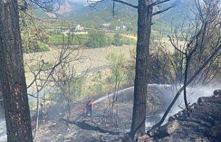 Hatay’daki orman yangını söndürüldü