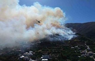 Hatay’daki orman yangınına havadan ve karadan...
