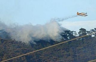 Havran’daki orman yangınında havadan müdahaleye...