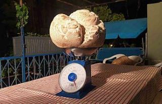 ‘Hayatımda ilk defa gördüm’ dedi, görenler...