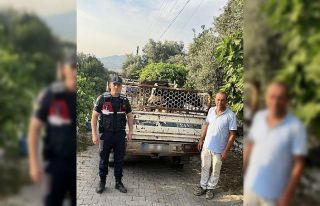 Hayvan hırsızı, jandarmadan kaçamadı