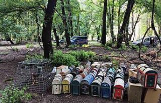 Hayvanları koruma derneği başkanı horoz dövüştürürken...