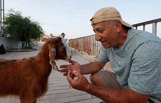 Hemcinsleri bıçak altına yatarken o deniz keyfi...