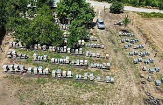 Hobi olarak başladığı arıcılık geçim kaynağı...