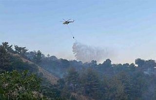 Horozköy yangını kısmen kontrol altına alındı