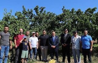 Iğdır Üniversitesi uygulama bahçesinde "Kayısı...