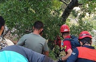 Ihlamur toplarken kayalıklardan düşen emekli polis...