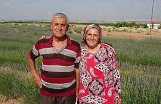İnternetten gördüler, lavanta üreticisi oldular