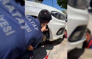 İskenderun’da aracın kaputuna giren kediyi itfaiye...