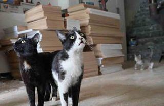 İşte Türkiye’nin konuştuğu o çılgın iki...