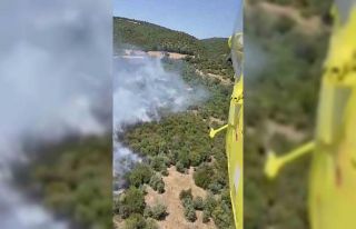 İvrindi’de orman yangını