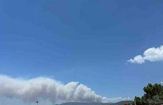 İzmir Menderes’te orman yangını