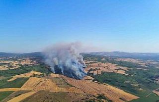 İzmir otoyolunun yanı başındaki yangına 3 helikopter...