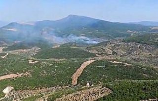 İzmir Torbalı’da orman yangınına müdahale sürüyor