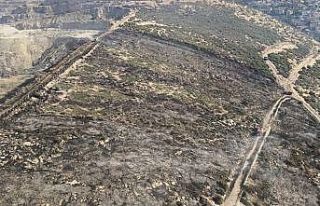 İzmir’de makilik alandaki yangın kontrol altında