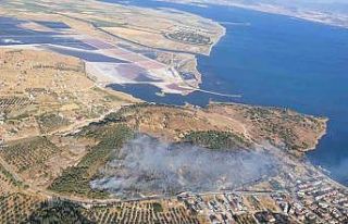 İzmir’de orman yangını kontrol altında