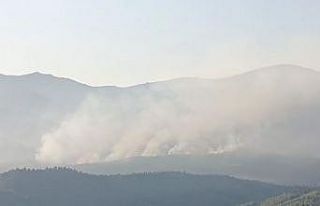 İzmir’de orman yangını sürüyor... Günün aydınlanmasıyla...