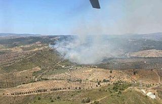 İzmir’de ormanlık alanda yangına havadan ve karadan...