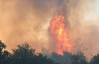 İzmir’deki orman yangını haberlerini izlerken...