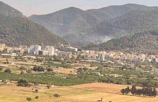 İzmir’deki orman yangınları kontrol altında