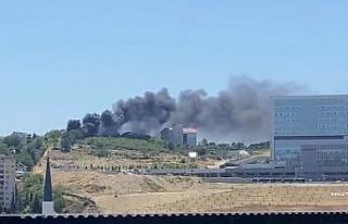 İzmit’te ağaçlık alan yangını: Dumanlar birçok...