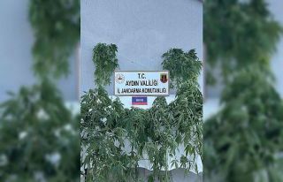 Jandarmada uyuşturucu operasyonu: 16 gözaltı