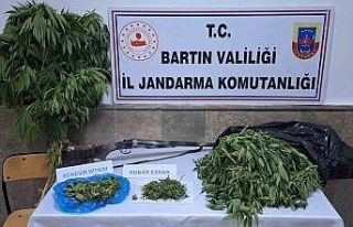 Jandarmadan uyuşturucu operasyonu: 2 gözaltı