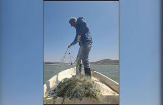 Kaçak avcıların ağı denetimde ortaya çıktı