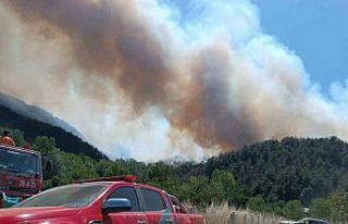 Kahramanlar geri döndü