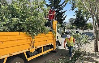 Kahramanmaraş’ta fırtınanın oluşturduğu hasar...