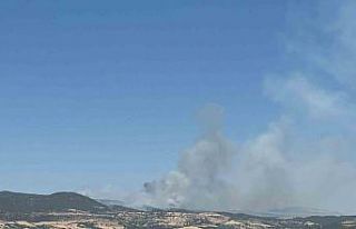 Kahramanmaraş’ta ikinci orman yangını