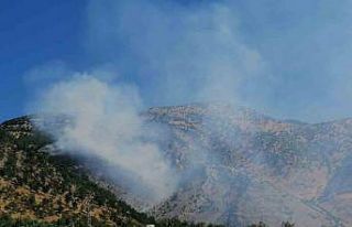 Kahramanmaraş’ta orman yangını