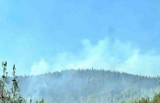 Kahramanmaraş’taki ikinci orman yangını da kontrol...